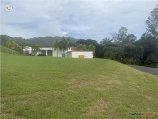 Gran Vista 1, Gurabo, Solar#176, 1258...