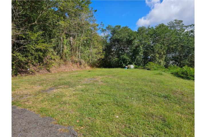 Terreno en Bairoa, Caguas Terreno con la mejor vista de Caguas 2,092 Metros cuadrados Con carretera asfaltada.
