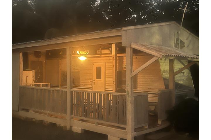 Coqui Puerto Rico Cabo Rojo