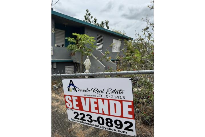 Padilla Puerto Rico Corozal