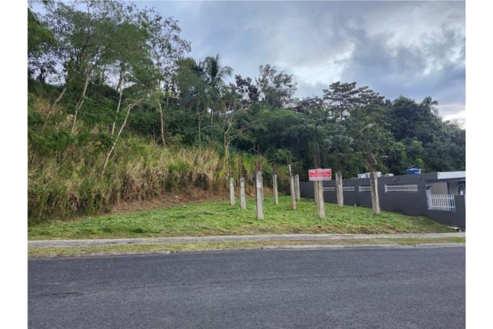 Villas De Caguas