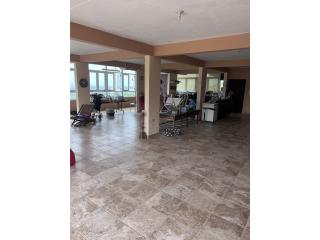 Galeria