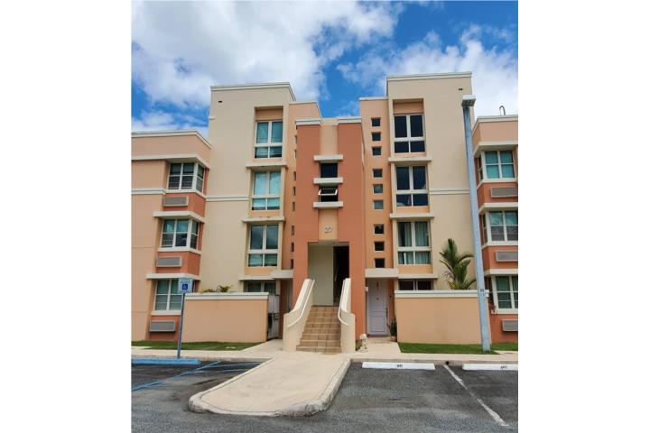 Armonia en Los Caguas