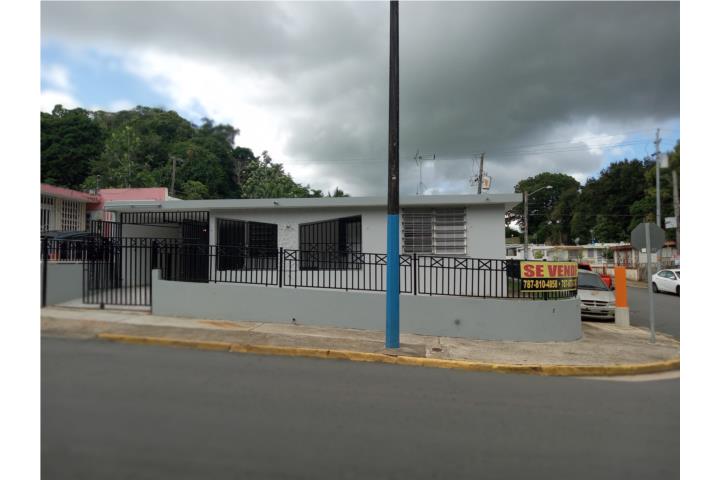 4 Fotos