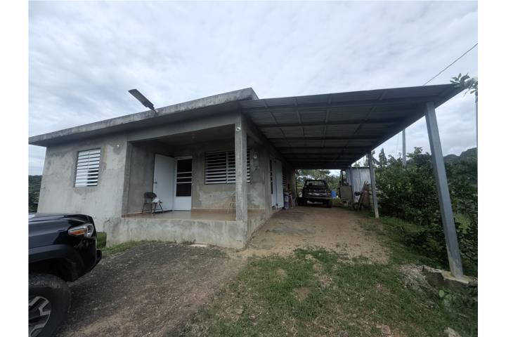 Oportunidad para agricultor, Finca de 16.