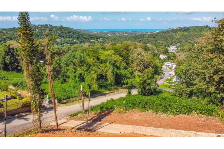 Ciara Escobar, REALTOR® Lic.