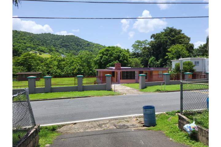 Collores Puerto Rico Humacao