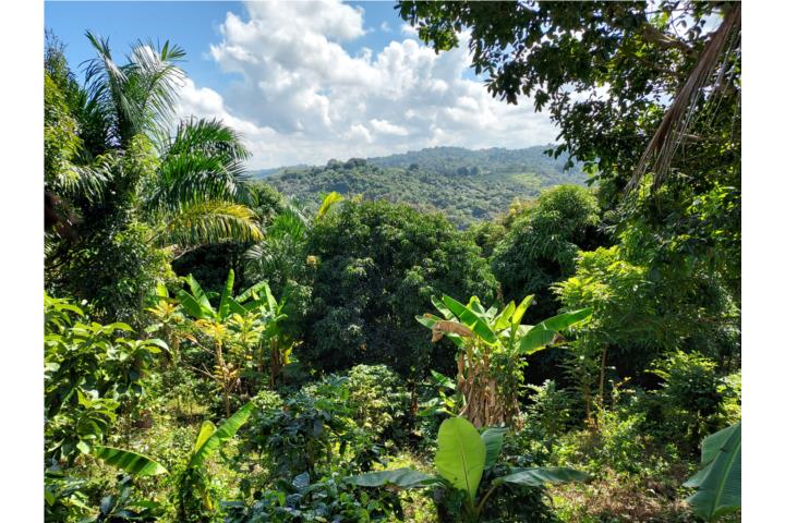 FINCA DE 5.