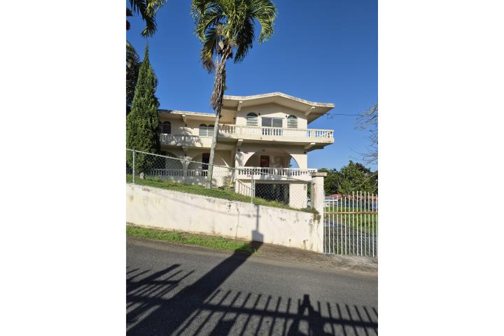 Montellanos Puerto Rico Cidra