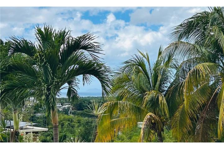 VENTA URGENTE POR MUDANZA FUERA DE PR.