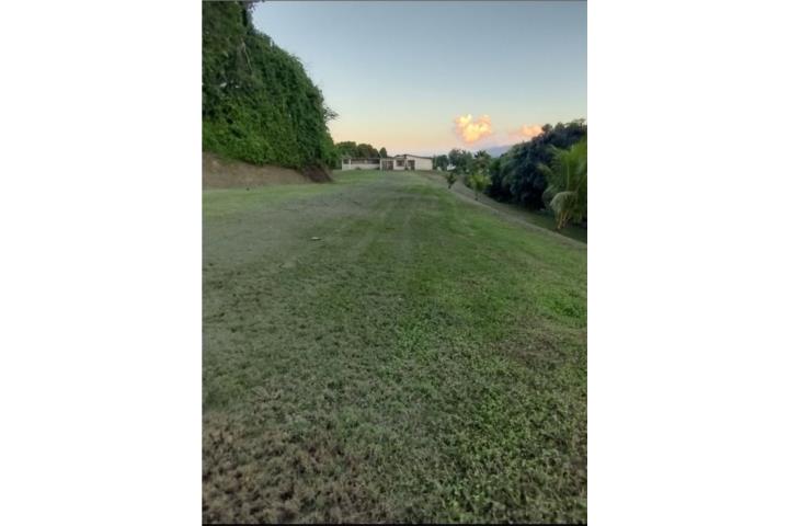 Solar en área metropolitana