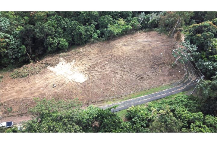 Venta BELLO! Solar de 4,820mc (1.23 cdas)