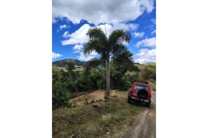 Finca en lugar tranquilo