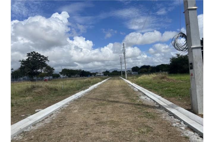 Godreau Puerto Rico Salinas