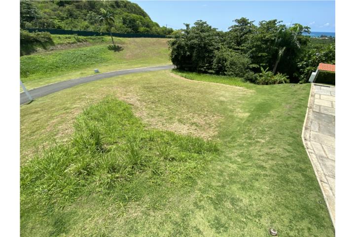 La Vista de Rio Mar 1,550 Sq. Mts.