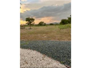 Venta de Finca de 5 Cuerdas pasos de la playa