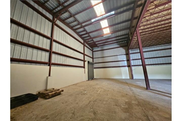 ALMACÉN 8000 PC PR 152 BARRANQUITAS