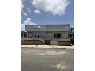 Galeria