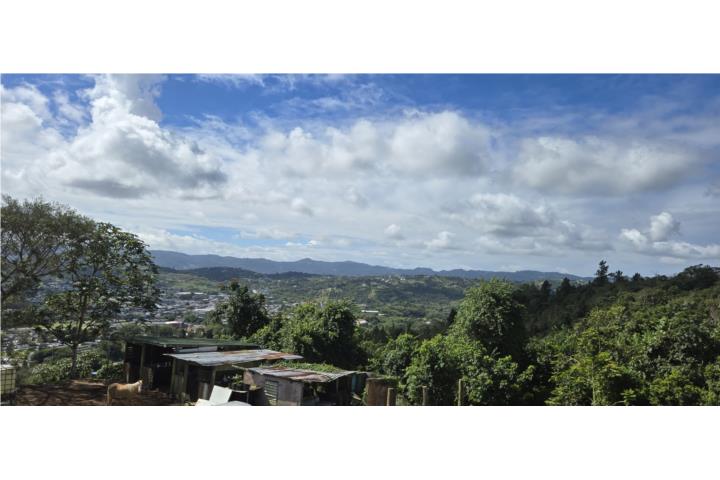 Finca de 18 cuerdas en Cidra