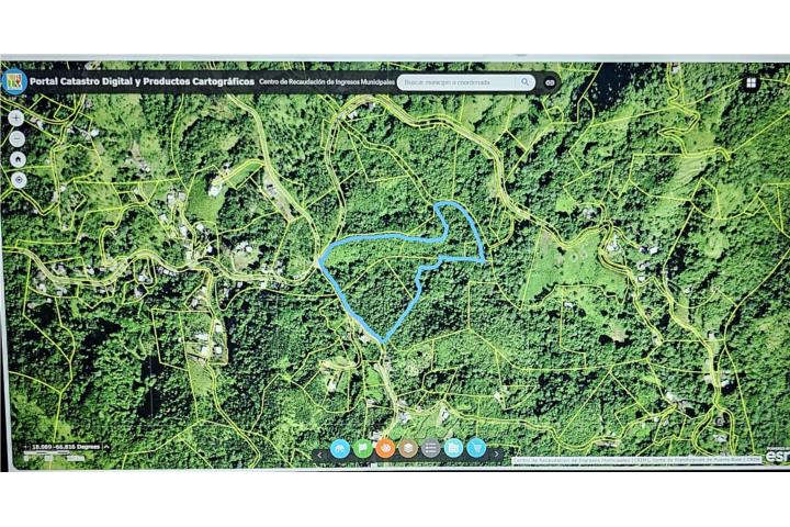 Finca en Bo Sierra Alta, 12.0657 cuerdas