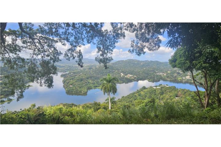 Million dolar view lot.