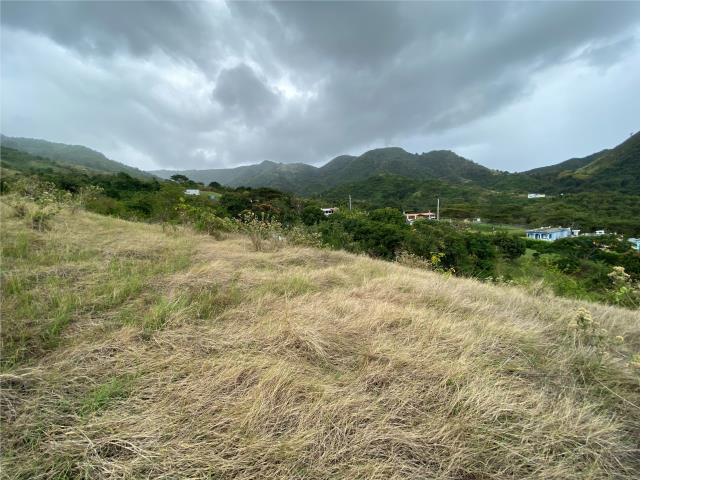 Bo. Algarrobo en Aibonito