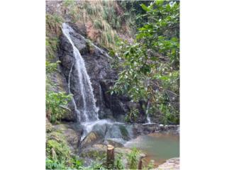 CIDRA. BELLA HACIENDA, CON RIO Y CASCASDA.