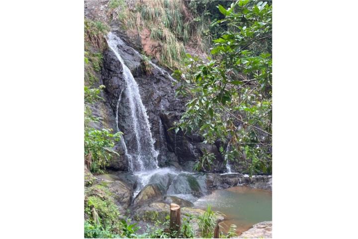 CIDRA. BELLA HACIENDA, CON RIO Y CASCASDA.