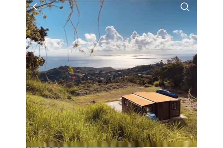 CAMINO NUEVO YABUCOA