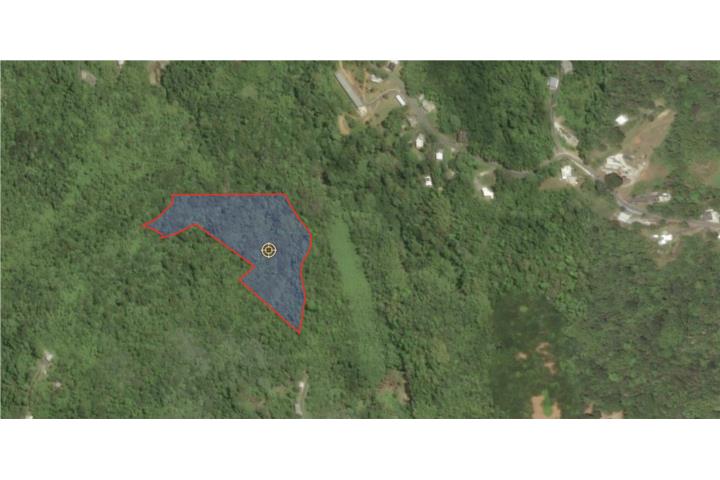 * Within the scenic natural beauty of Barrio Sonadora in Guaynabo, Puerto Rico, you will find 6.