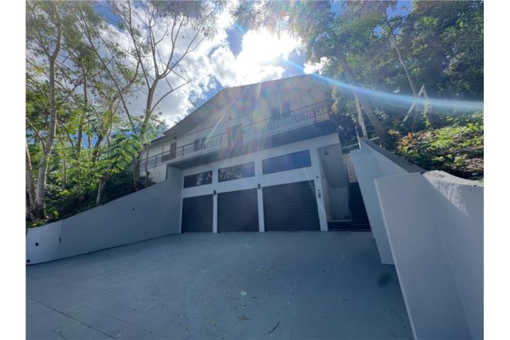 Mansión Terrera en Bo. Minillas, Bayamón