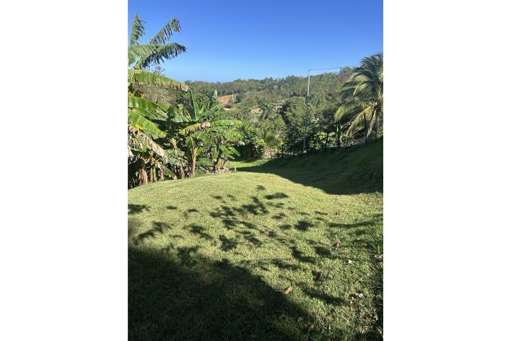Se Vende Finca