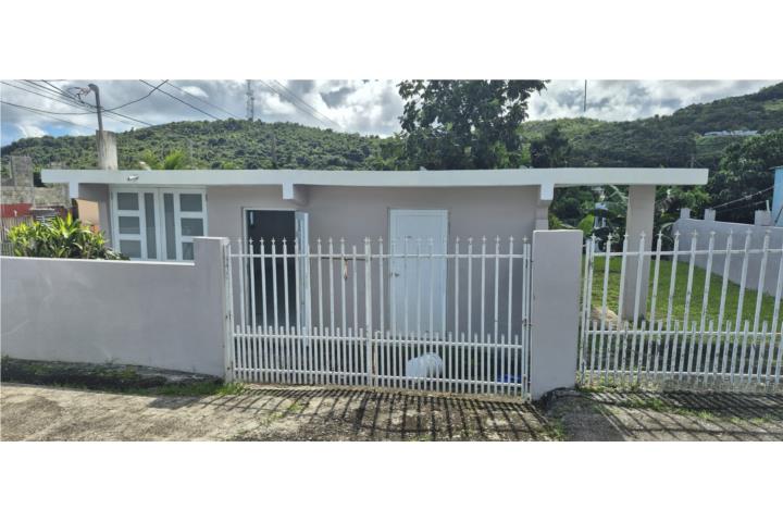 Las Calderonas!  Ceiba.. de esquina