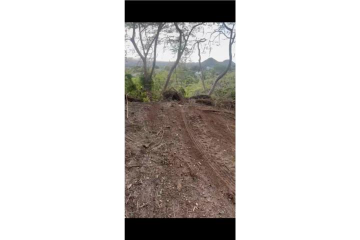 Solar de 2,700 metros