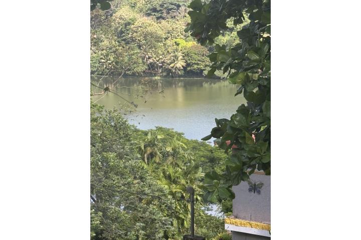 10 CUERDAS DE TERRENO GURABO FRENTE AL LAGO