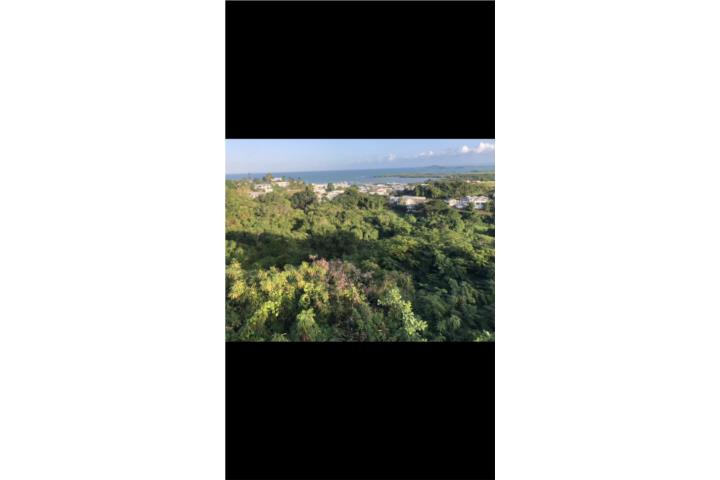 Urbanización las gaviotas