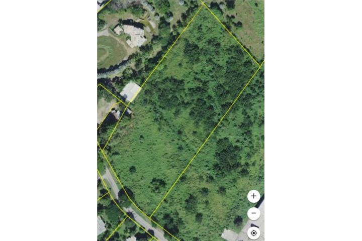 REAL ANON - TRAIGA SU OFERTA!!