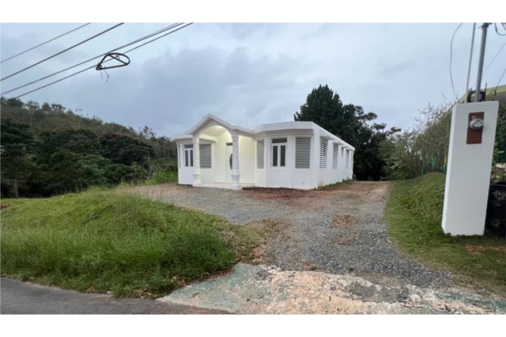 Barrio Cruces Aguada PR