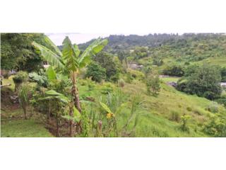 5 cuerdas espectaculares en Man� Corozal,