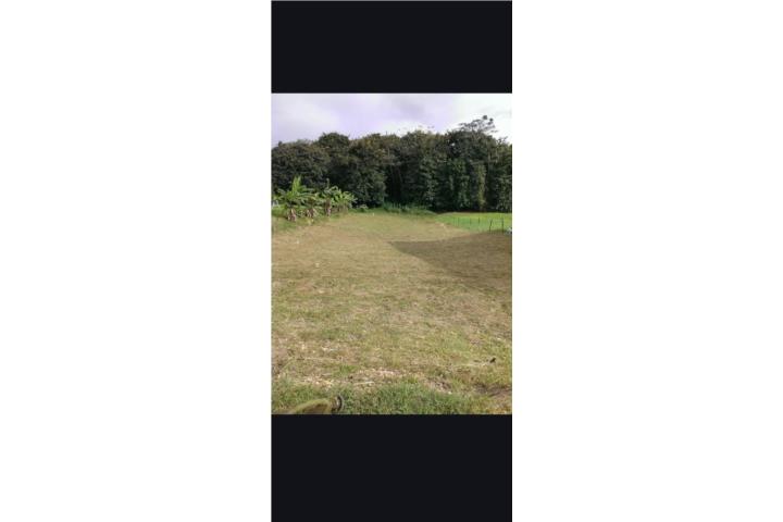 Solar precioso en capa moca