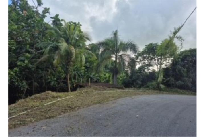 Solar 2.37 cuerdas Villas de Monte Verde