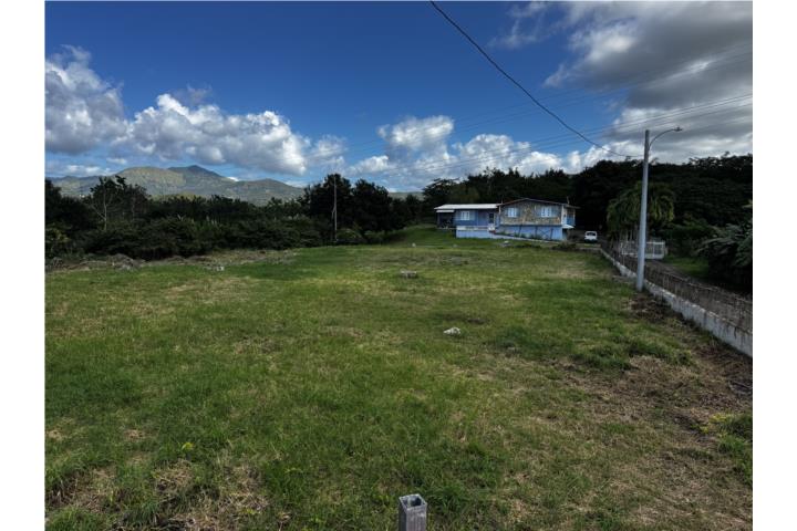 Excelente Solar para su desarrollo