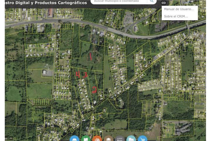 Se venden 4 fincas colindantes en Camuy