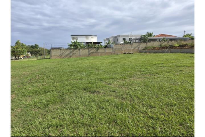 Int Sector los Alfonsos bo Carrizales