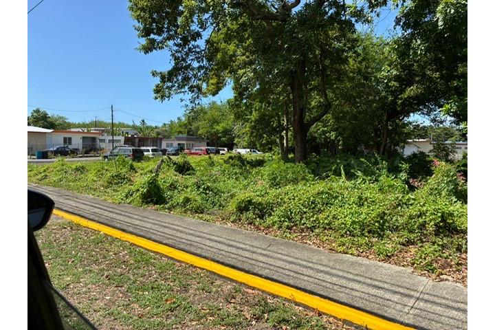 Bo Mediania Baja, Loiza