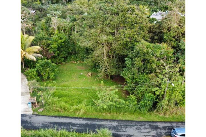 Aguas Buenas - Sector La Araña