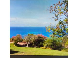 Culebra - Vista Espectacular