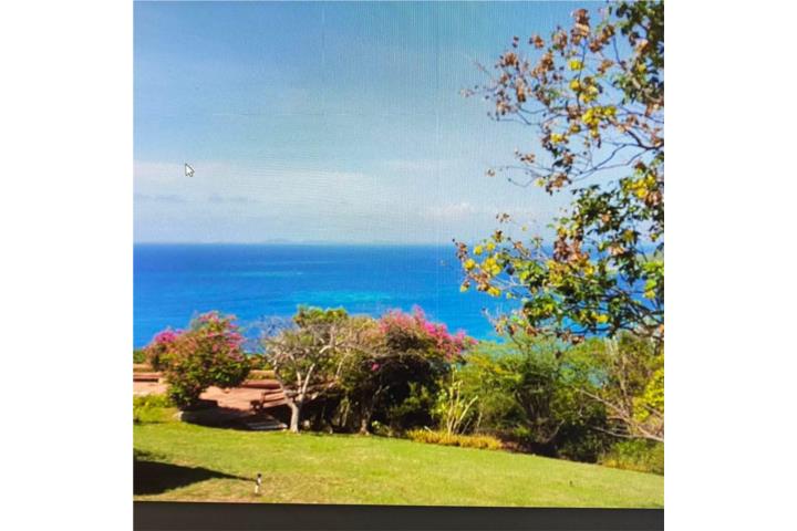 Culebra - Vista Espectacular