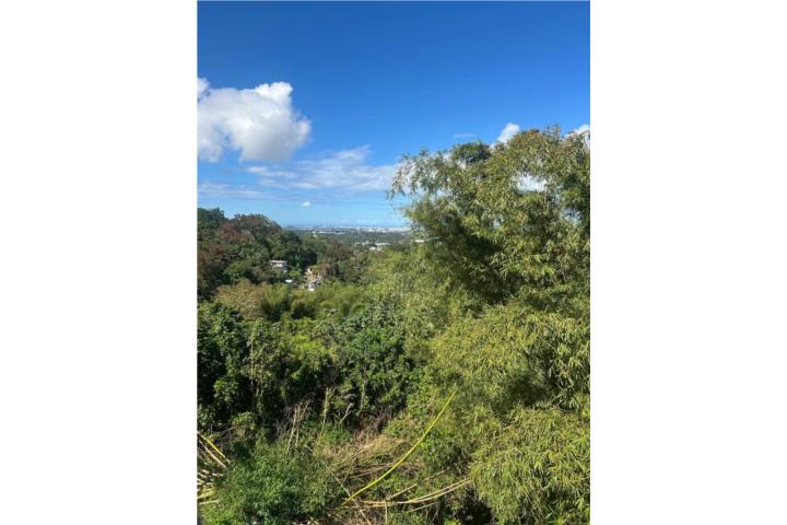 Propiedad Comercial con Terreno | Caimito