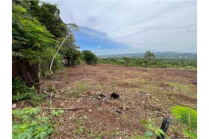 7 Solares exclusivos en Plan Bonito quedan 3